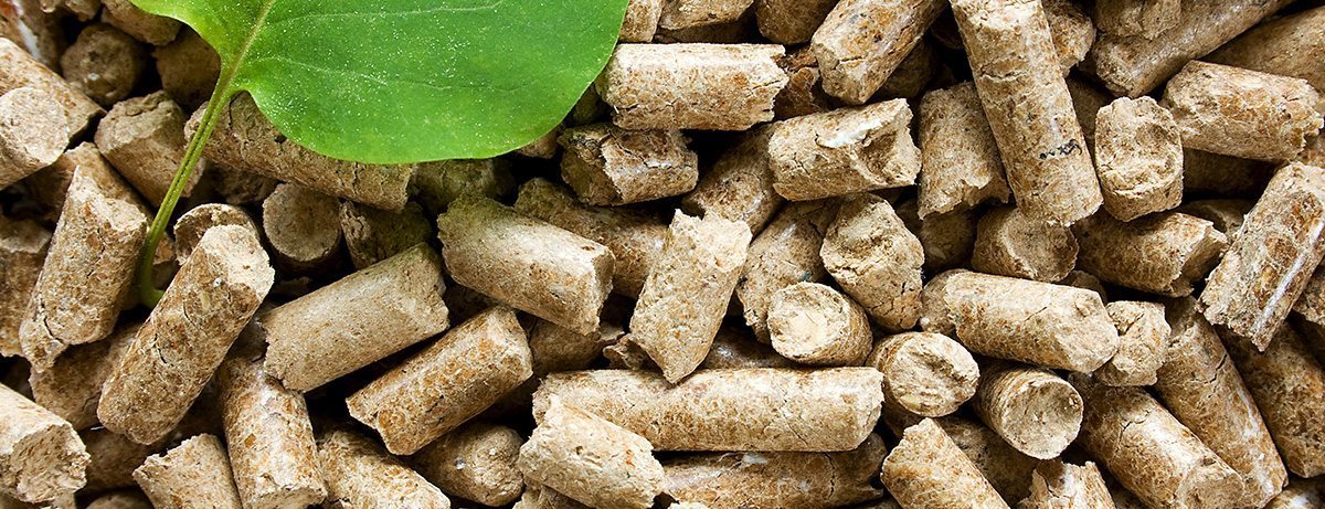 Wijziging ISDE: geen subsidie meer voor pelletkachels en biomassaketels