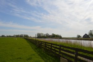 Zelfvoorzienende B&B en boerderij