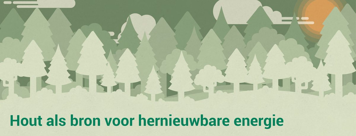 Waarom is biomassa / hout als hernieuwbare energie goed alternatief voor fossiel?