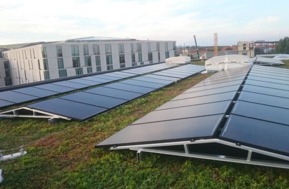 Zonnepanelen op groen dak